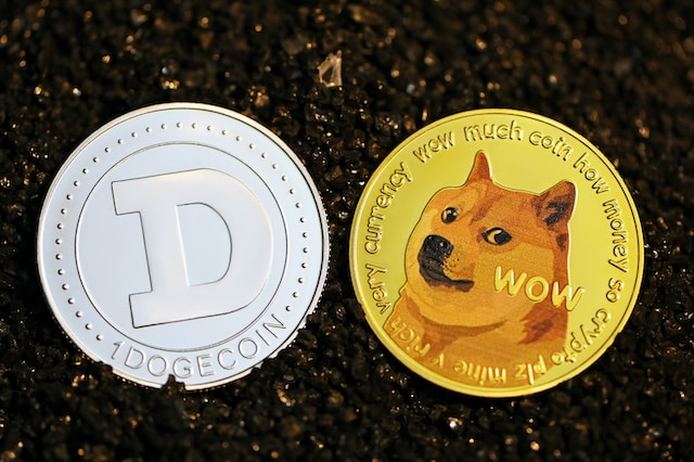 can dogecoin reach $1